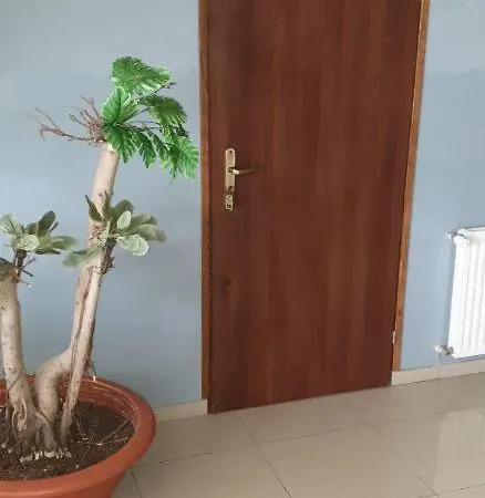 Do-dar ゲストハウス *